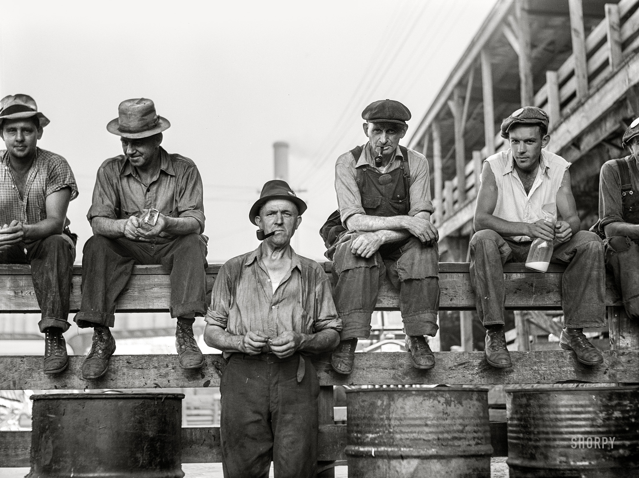 July 1941. "Stockyard workers during lunch hour. Chicago, Illinois." Medium format acetate negative by John Vachon for the Farm Security Administration. View full size.