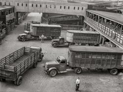 June 1941. "Trucks at Union Stockyards. Chicago, Illinois." Medium format acetate negative by John Vachon for the Farm Security Administration. View full size.