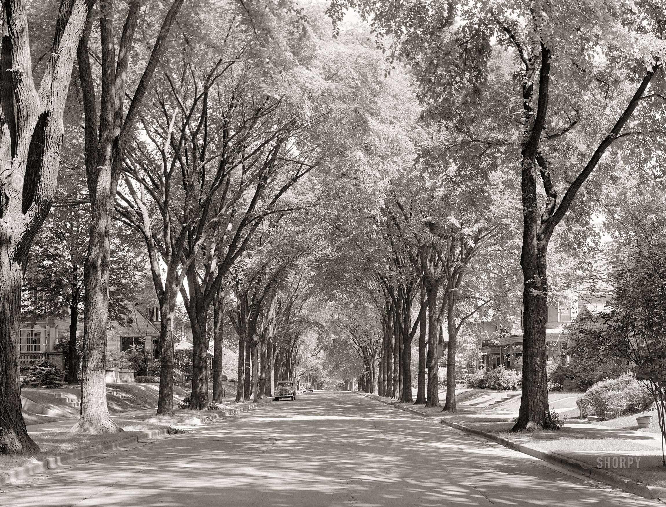 June 1941. "Residential section. Milwaukee, Wisconsin." Take the "tree" out of Elm Street and you're left with Elm St. Medium format acetate negative by John Vachon. View full size.