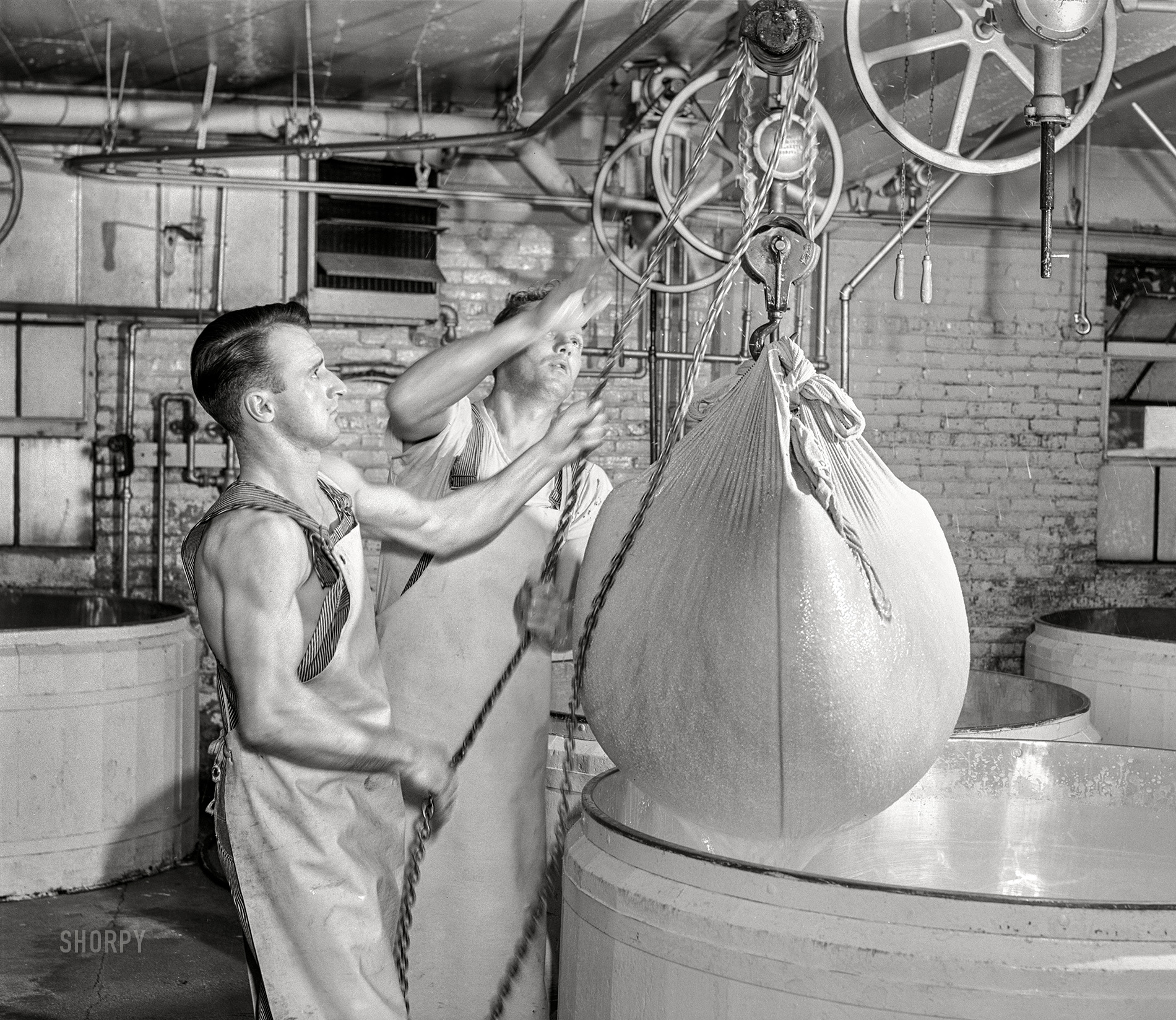 July 1941. "Removing the curd from the whey. Swiss cheese factory in Madison, Wisconsin." Acetate negative by John Vachon for the Farm Security Administration. View full size.
