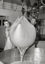 July 1941. "Removing the curd from the whey. Swiss cheese factory in Madison, Wisconsin." Acetate negative by John Vachon for the Farm Security Administration. View full size.