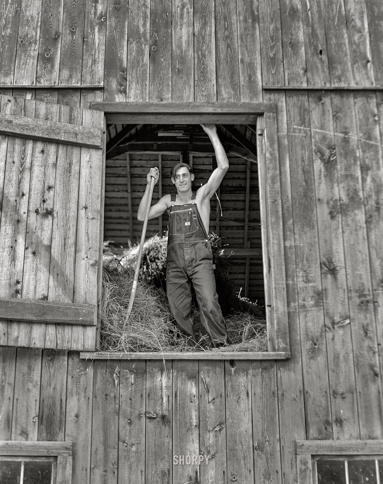 July 1941. "Loading hay into barn. Son of FSA borrower who moved from Nebraska drought area three years ago to Douglas County, Wisconsin." Photo by John Vachon. View full size.