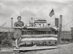 August 1941. "Girl who sells pieces of ore and Iron Range souvenirs to tourists. Hibbing, Minnesota." Medium format acetate negative by John Vachon. View full size.