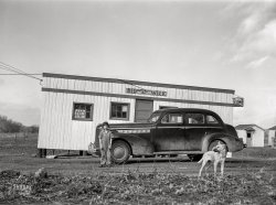 February 1942. Newton County, Missouri. "Boom area on U.S. Highway #71 around Camp Crowder. Housing for construction workers." Acetate negative by John Vachon. View full size.