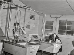 February 1942. "Burlington, Iowa. Acres Unit, Farm Security Administration trailer camp. In the utility building for workers at Burlington ordnance plant." Home of the Granitine Laundry Tray. Acetate negative by John Vachon for the Office of War Information. View full size.