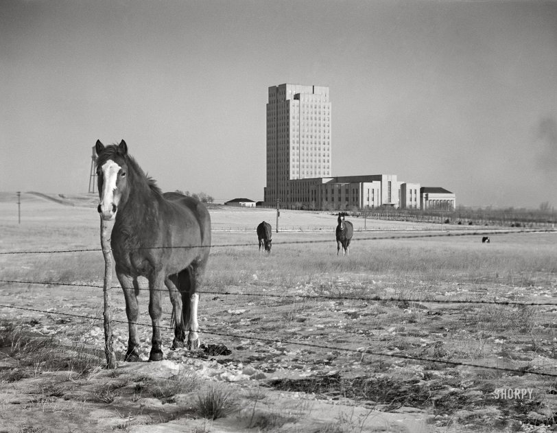 February 1942. "Bismarck, North Dakota. State capitol." Yea or neigh? Medium format acetate negative by John Vachon for the Farm Security Administration. View full size.
