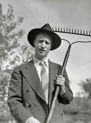 May 1942. Yes, it's this guy again, somewhere in Grand Island, Nebraska, snapped by John Vachon for reasons unknown. Cinch up that tie and get back to work! View full size.