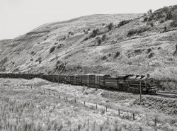 July 1941. "Logging train. Spalding Junction, Nez Perce County, Idaho." Medium format acetate negative by Russell Lee for the Farm Security Administration. View full size.