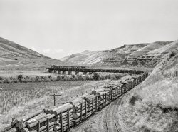 July 1941. "Logging train. Spalding Junction, Nez Perce County, Idaho." Medium format acetate negative by Russell Lee for the Farm Security Administration. View full size.