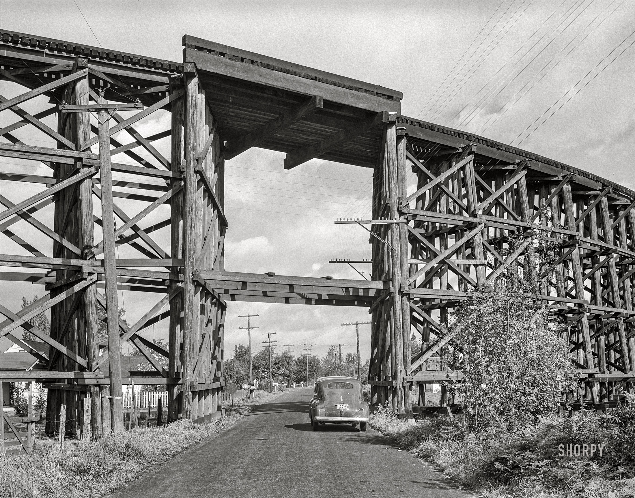 October 1941. Cowlitz County, Washington. "Holdings and operations of the Long Bell Lumber Company. Highway goes under wooden trestle for railroad." Medium format acetate negative by Russell Lee for the Farm Security Administration. View full size.
