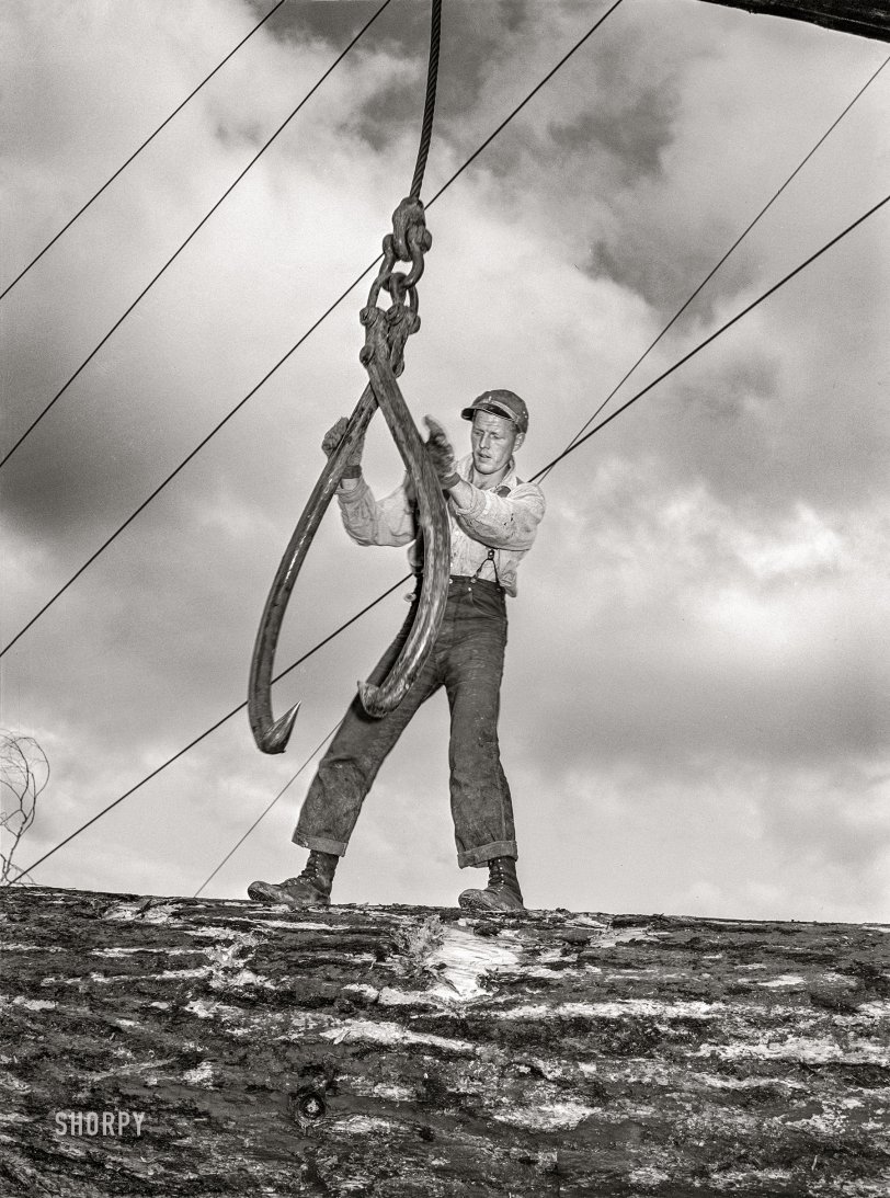 October 1941. "Lumberjack ready to sink the hook into a log. Long Bell Lumber Company, Cowlitz County, Washington." Acetate negative by Russell Lee. View full size.
