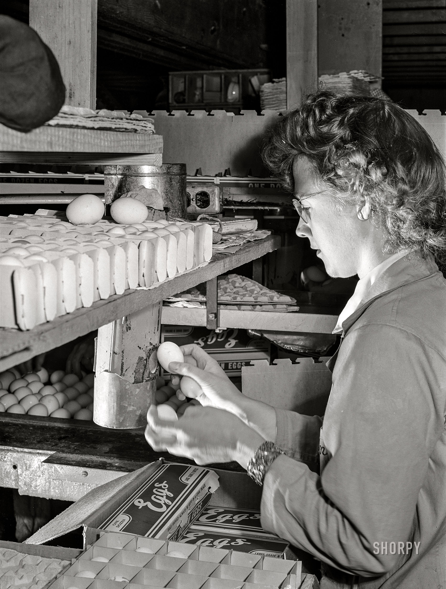 January 1942. "Petaluma, Sonoma County, California. Candling eggs in an egg packing plant." In contrast to the Grade AA Specials seen previously, what we have here are cartons marked "Large Grade B Dirties." Photo by Russell Lee, Farm Security Administration. View full size.