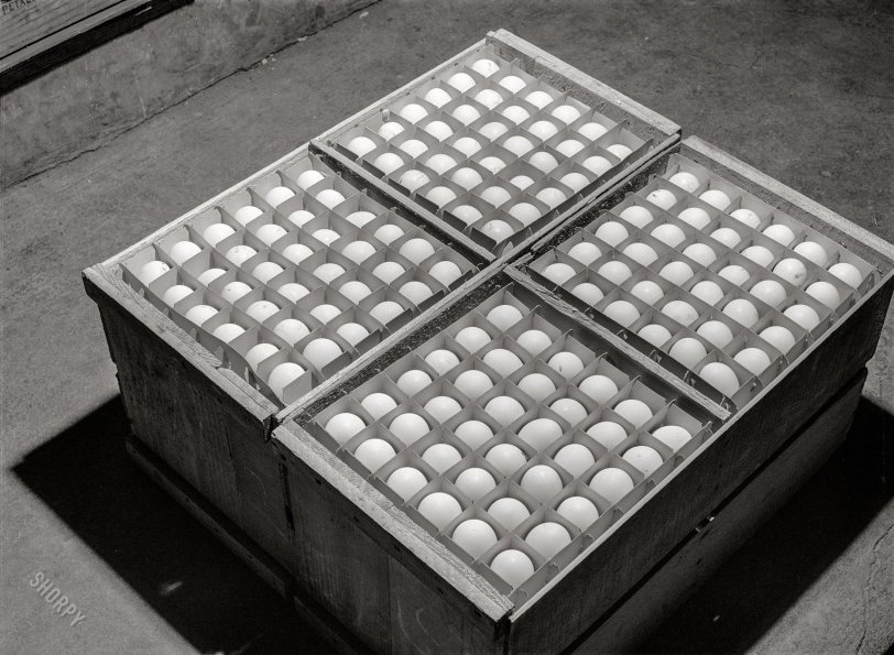 January 1942. "Sonoma County, California. Eggs." Medium format acetate negative by Russell Lee for the Farm Security Administration. View full size.

