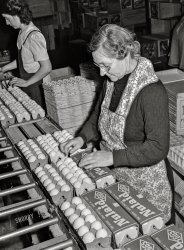 January 1942. "Petaluma, Sonoma County, California. Packing eggs into cartons." Medium format acetate negative by Russell Lee for the Farm Security Administration. View full size.