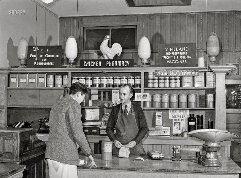 January 1942. "Petaluma, Sonoma County, California. In the chicken pharmacy. Poultry raising exclusively for egg production on a scientific basis." Medium format acetate negative by Russell Lee for the Farm Security Administration. View full size.
