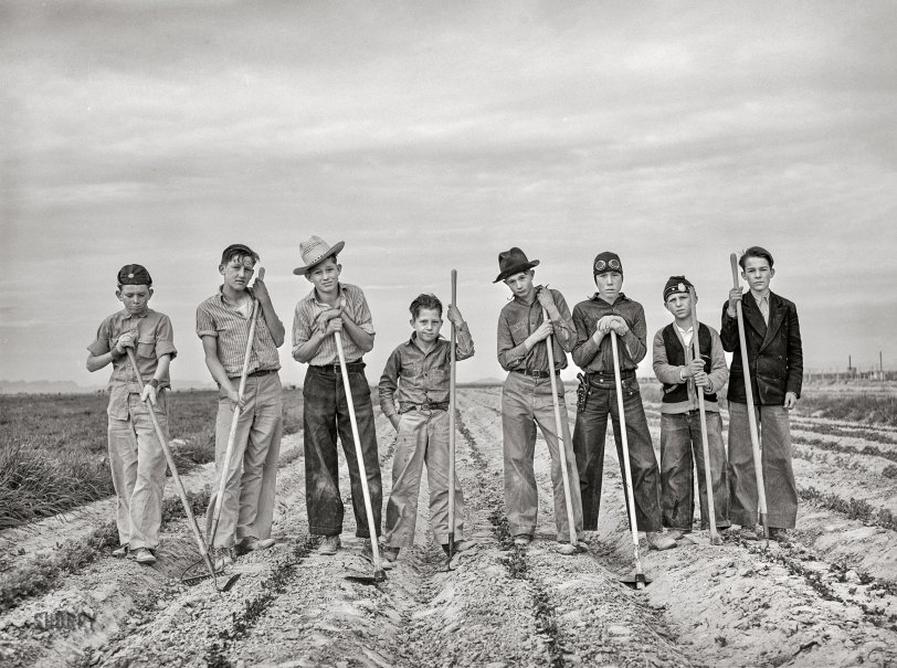 February 1942. "Eleven Mile Corner, Arizona. FSA farmworkers' community. Boys learning to garden in the vocational training class. This is vocational training as provided for in the Smith-Hughes bill." Photo by Russell Lee for the Farm Security Administration. View full size.
