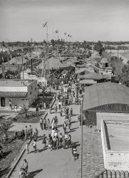 March 1942. El Centro, California. "Crowd at the Imperial County Fair." Medium format acetate negative by Russell Lee for the Office of War Information. View full size.