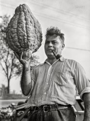 October 1941. "Windsor Locks, Connecticut (vicinity). An Italian farmer and part owner of a harvest market." Photo by John Collier for the Farm Security Administration. View full size.