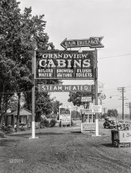 October 1941. Berkshire Hills County, Massachusetts. "Tourist camps stretch in an endless village along the Mohawk Trail through the Berkshires." Chicken and Spaghetti, 50 cents! Acetate negative by John Collier for the Farm Security Administration. View full size.