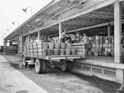 June 1942. Bridgeton, New Jersey. "Seabrook Farms, several thousand acres, where Birdseye Foods are produced. Loading beans onto the delivery platform of the packing plant." 4x5 inch acetate negative by John Collier for the Farm Security Administration. View full size.