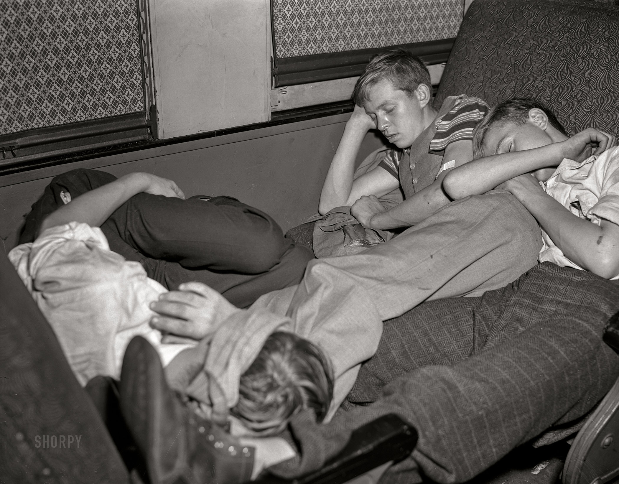 September 1942. "Boys sleeping as best they can on special train from Richwood, West Virginia, to upper New York state to work in the harvest." 4x5 inch acetate negative by John Collier for the Farm Security Administration. View full size.