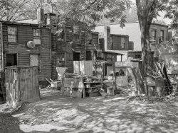 September 1941. "Negro slum area near the U.S. Capitol, between D and C Streets off First Street S.W. Most houses have five small rooms renting for twenty dollars and fifty cents a month, with rear wood kitchen shed, cold water, outdoor privy." Medium format acetate negative by Marion Post Wolcott for the Farm Security Administration. View full size.