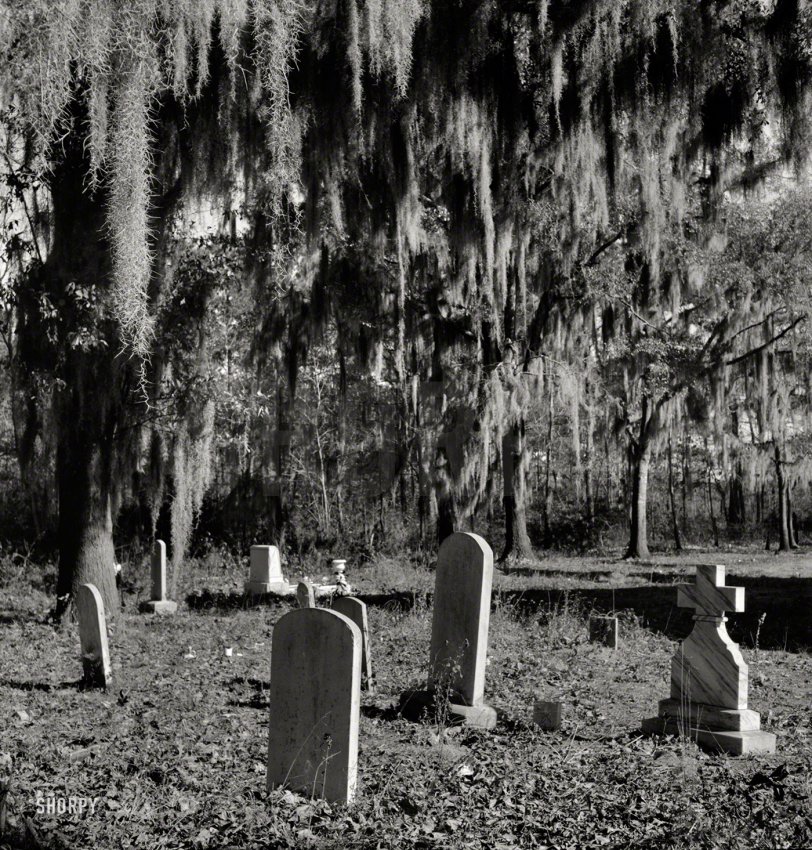 December 1938. "Church graveyard near Summerville, South Carolina." Photo by Marion Post Wolcott for the Resettlement Administration. View full size.
