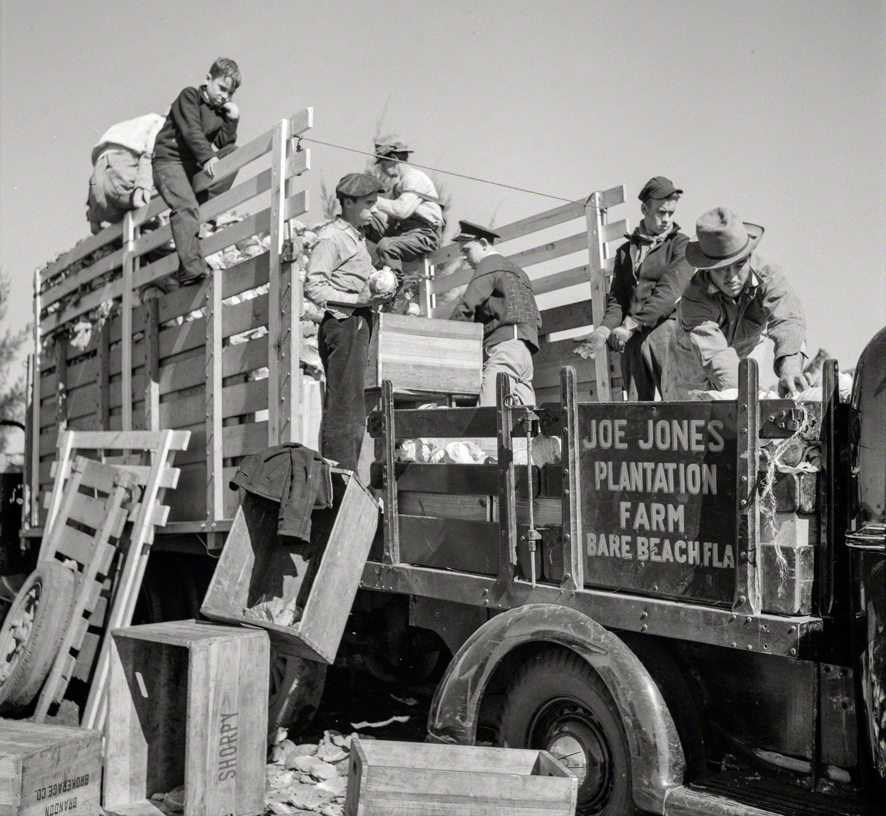 January 1939. "Packing cabbages in truck to go to market, from small truck farm of man from North Carolina. Near Belle Glade, Florida." Bare Beach was an agricultural outpost on the southern shore of Lake Okeechobee. Photo by Marion Post Wolcott for the Farm Security Administration. View full size.
