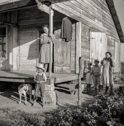 June 1940. "Melrose, Natchitoches Parish, Louisiana. Mulattoes' home on Melrose cotton plantation owned by John Henry." Medium format nitrate negative by Marion Post Wolcott for the Resettlement Administration. View full size.