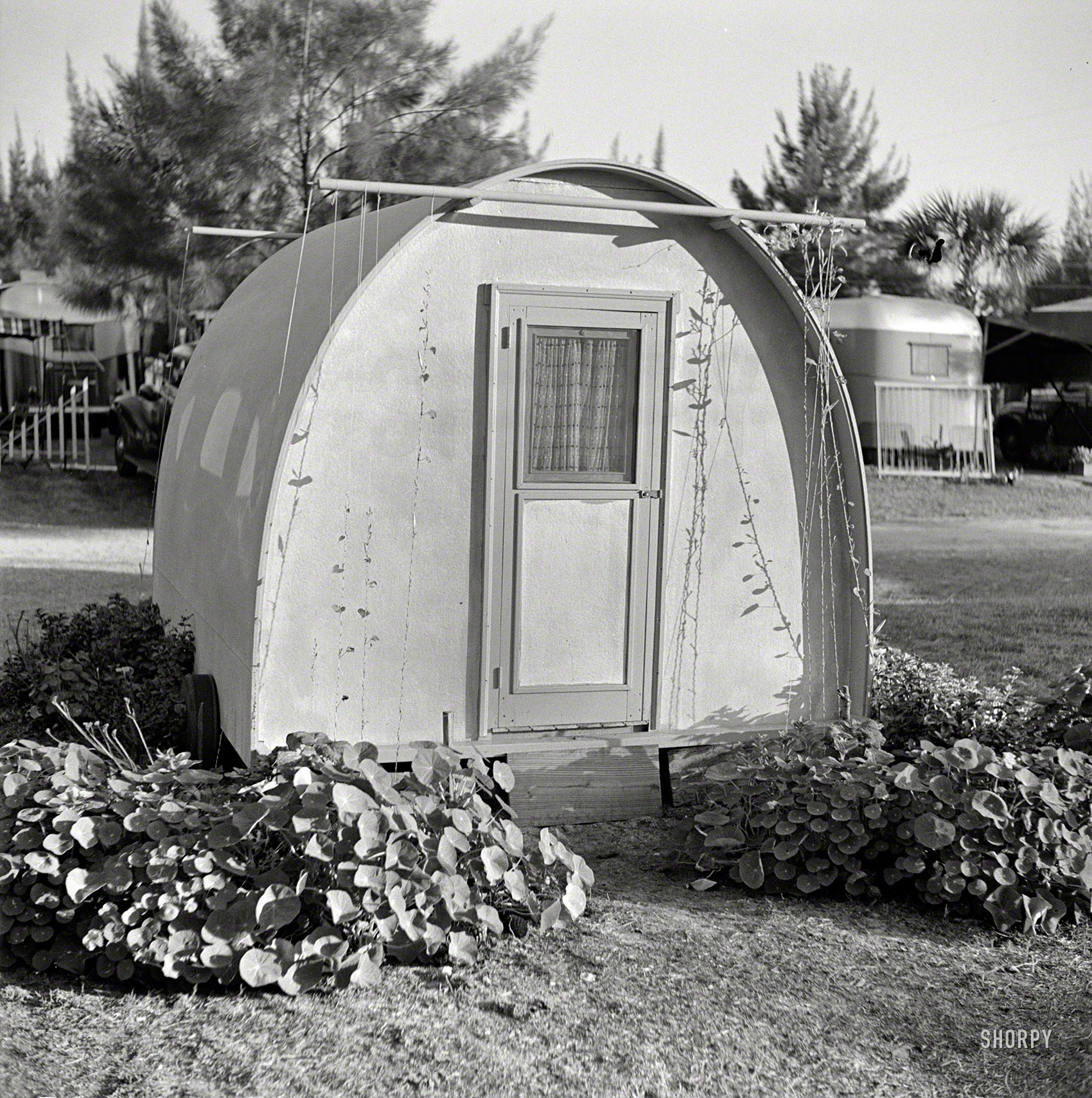 January 1941. "Trailer park in Sarasota, Florida." A baby bungalow nestled in nasturtiums. Photo by Marion Post Wolcott. View full size.