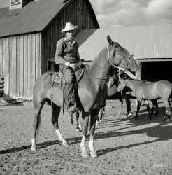 August 1941. "Cowboy and horse at the Quarter Circle U, Brewster-Arnold Ranch Co. Birney, Montana." Our second visit with this sweater-wearing wrangler. Photo by Marion Post Wolcott for the Farm Security Administration. View full size.