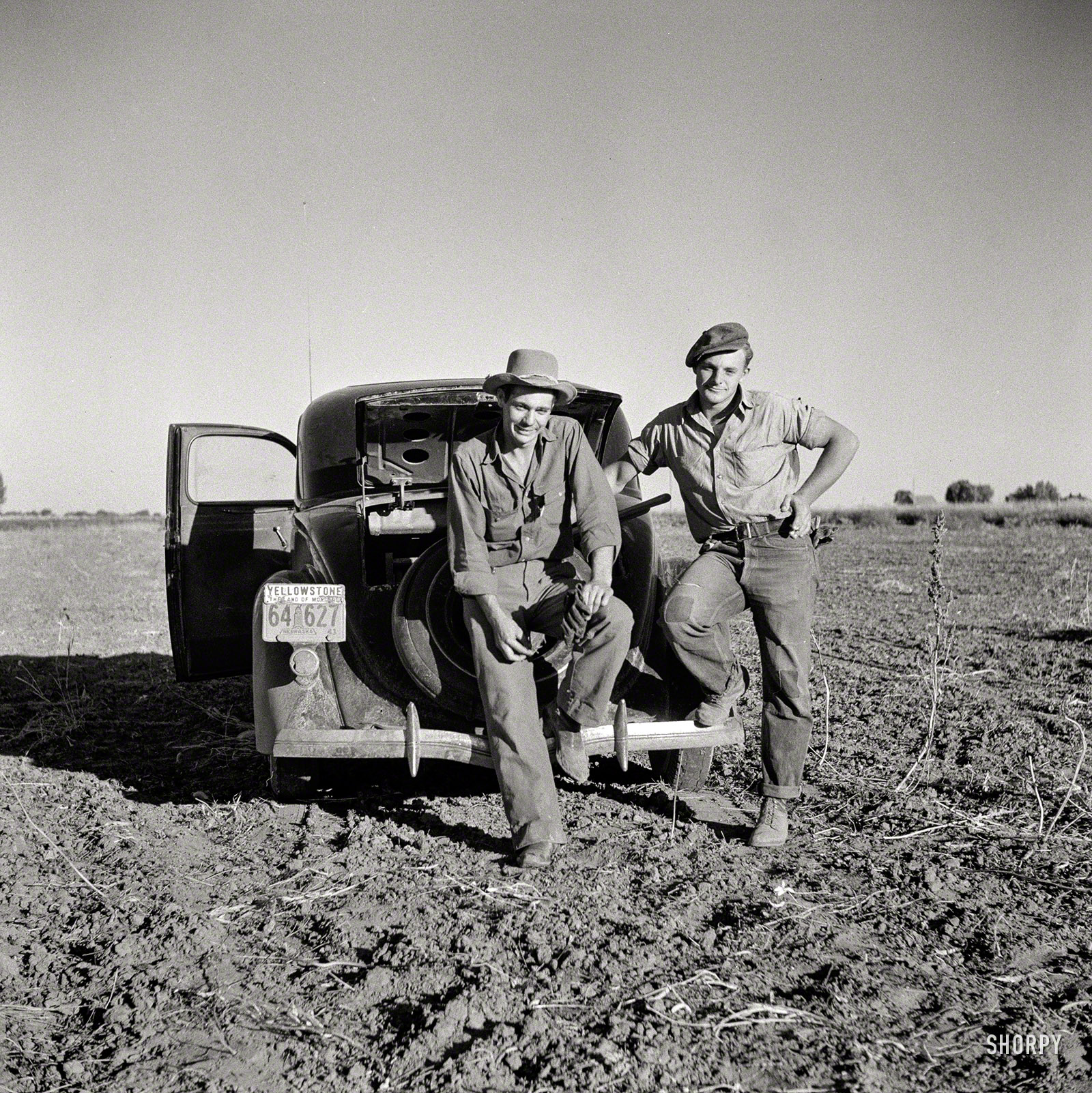 An uncaptioned photo taken by Marion Post Wolcott in September 1941 whose neighbors show bean-threshing activities in the North Platte River Valley of Nebraska. So we'll call these guys the Legume Brothers. View full size.