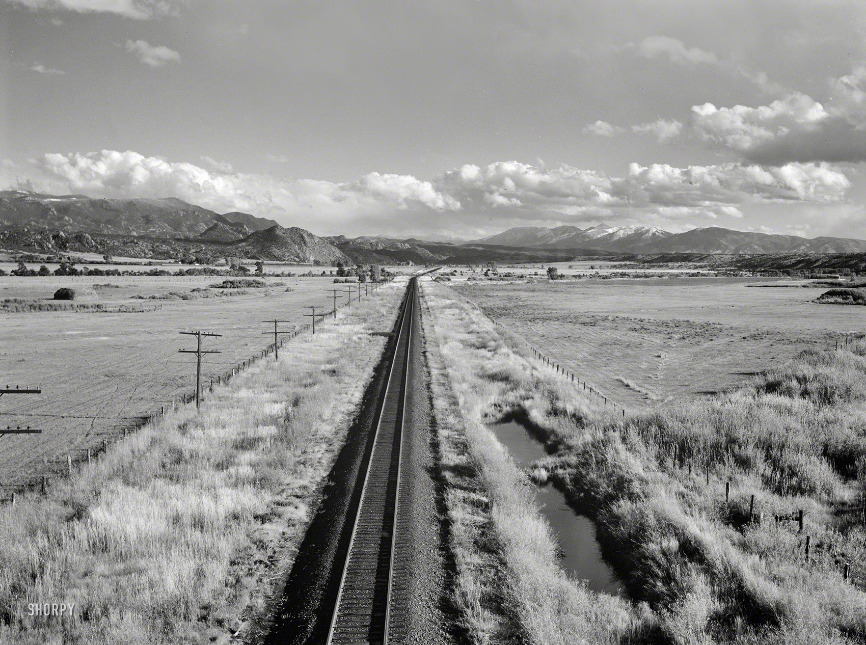September 1941. "Buena Vista, Colorado (vicinity). The Sawatch mountains." Medium format negative by Marion Post Wolcott. View full size.