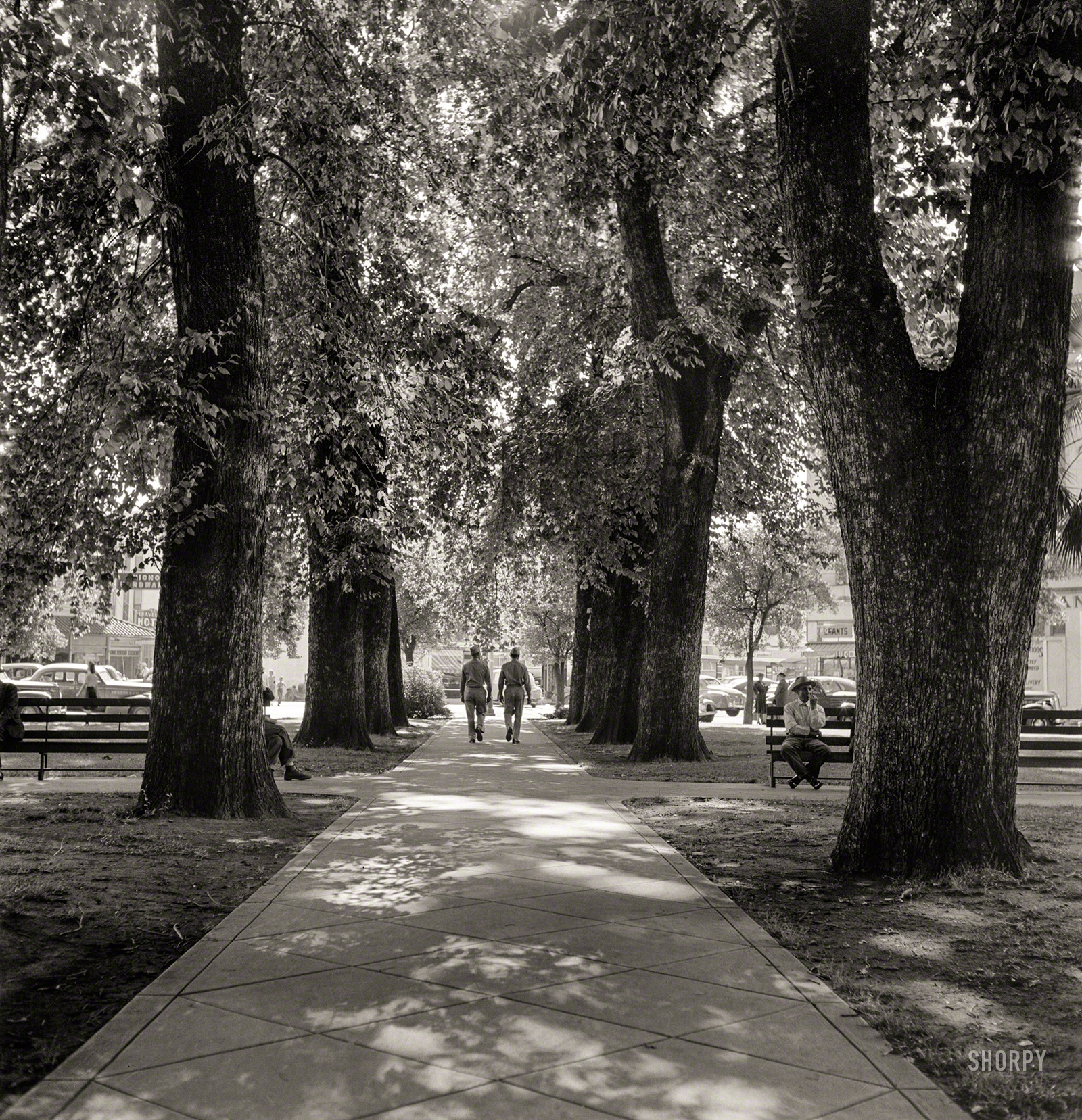 June 1942. "Chico, California. City park." Shady, but in a good way. Medium format negative by Russell Lee for the Office of War Information. View full size.