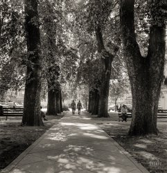 June 1942. "Chico, California. City park." Shady, but in a good way. Medium format negative by Russell Lee for the Office of War Information. View full size.
Beautiful No MoreThe trees are all gone, so it's mostly a concrete block.  Still a beautiful town with a great school and there's always Bidwell Park.
(The Gallery, Russell Lee)