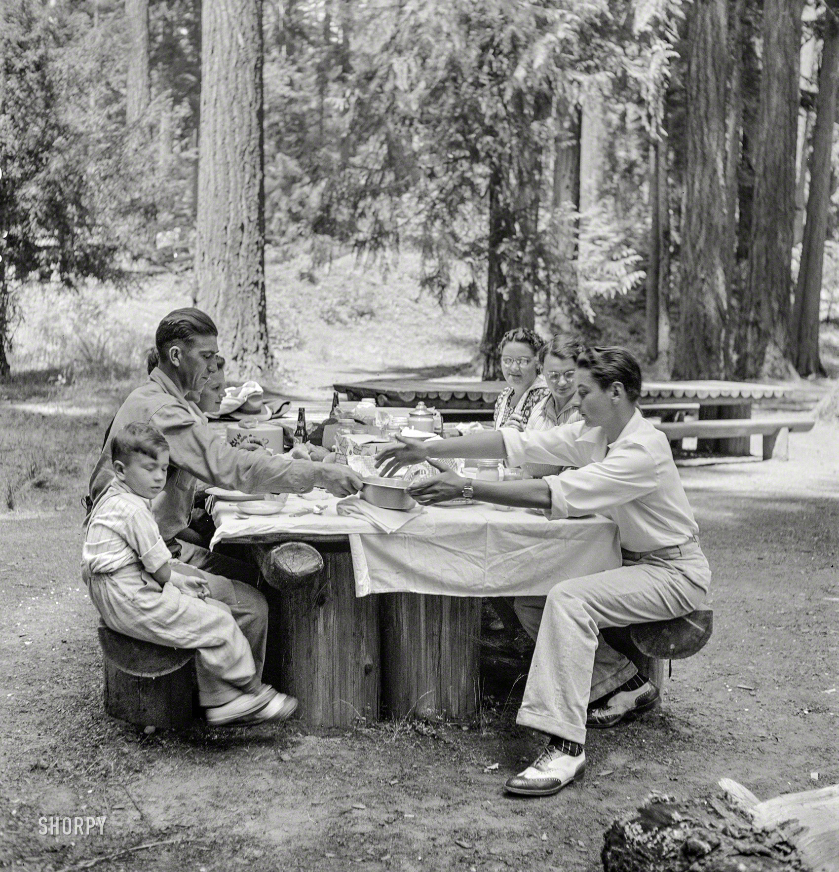 July 1942. "Klamath Falls, Oregon. Picnickers in city park." Medium format nitrate negative by Russell Lee for the Office of War Information. View full size.