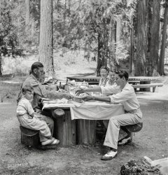 July 1942. "Klamath Falls, Oregon. Picnickers in city park." Medium format nitrate negative by Russell Lee for the Office of War Information. View full size.
Plenty Of WoodTo make tables and benches. 
It looks as though this table is fresh wood.
A fine place to dine! I live about 3 miles from where this picture was taken.This is Moore park on Lakeshore drive. Yes it's still there and used quite a bit by various groups for corporate functions. Great place to be on a hot summers day.
Saddle ShoesIt appears to be a family of saddle shoes.
(The Gallery, Russell Lee)