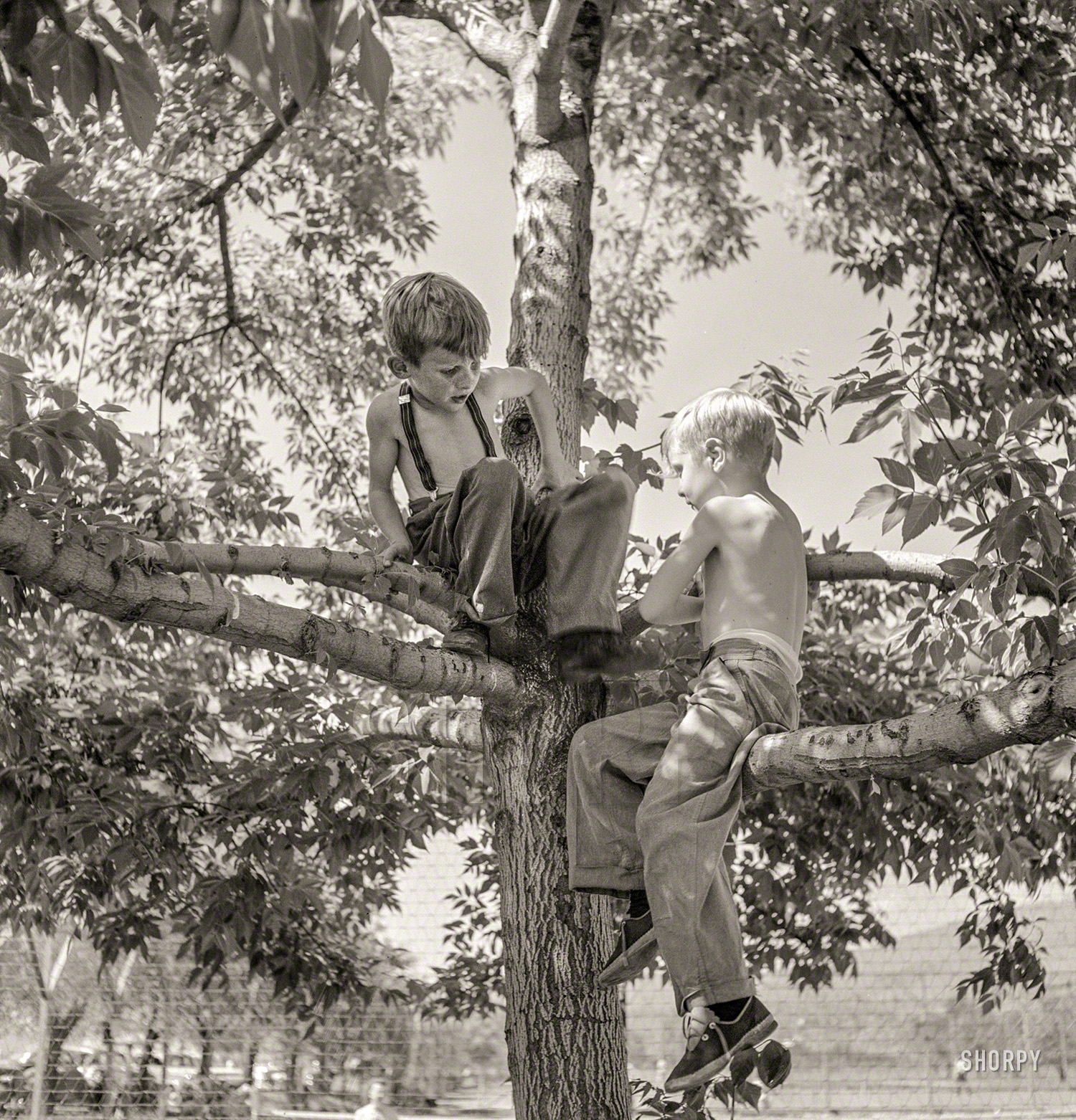 July 1942. Klamath Falls, Oregon. "Boys in city park on a Sunday afternoon." Photo by Russell Lee for the Office of War Information. View full size.