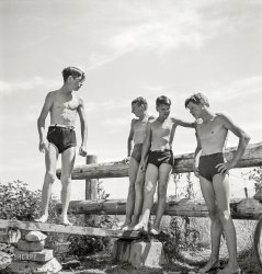 July 1942. "Rupert, Idaho. Schoolboys at swimming pool." Medium format negative by Russell Lee for the Office of War Information. View full size.
On BoardLooks like the can-do enterprising youth of yesteryear decided a higher diving board, with more "spring" was called for.
Look at that divingboard!I wonder if "swimming pool" might be better described as "swimming hole"?  These boys seem to be deliberating about something, like perhaps a snapping turtle in the "pool"?
[Another view of the pool. - Dave]
BeltedSwim trunks with belts!  Great idea for diving safely. 
Style shiftToday’s low-waisted, long-legged, baggy board shorts are pretty much the stylistic antithesis of what these boys are wearing.  Hopefully the chances of this swimsuit style returning during my lifetime are as remote as the chance of this body habitus returning.
Two observations.Number one, I can just imagine their grandmas running after them with milk and cookies on account of them being "so thin" (been there, long ago, *sigh*).
Number two: Well, that dive board looks kind of shaky. How did they ever survive their childhood with such extremely hazardous attractive nuisances around? 
Well, probably they had been told to look before they leap, instead of their parents looking for somebody to sue anytime they come home with as much as a scratch.
Irrigation structure?Looking at the concrete walls of the swimming hole shown in Dave's added photo, I suspect this was an irrigation canal water control structure. Irrigated land is plentiful in southern Idaho.
(The Gallery, Kids, Russell Lee, Swimming)