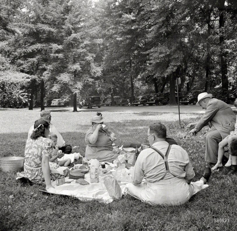 July 1942. Washington, D.C. "A Sunday picnic in Rock Creek Park." Photo by Marjory Collins for the Office of War Information. View full size.
