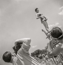 July 1942. Washington, D.C. "Publicity photographer and model at the municipal swimming pool on Sunday." Nitrate negative by Marjory Collins, Office of War Information. View full size.
Photographing a PhotographerPhotographer Marjory Collins photographs a photographer photographing and a boy (with goggles) looking at a model, while spectators gaze at the photographer.
I count at least four looks/gazes in/of this image!
PulchritudinousFor sure.  But can she compete with Dave’s main squeeze Iola Swinnerton?
(The Gallery, D.C., Marjory Collins, Swimming)