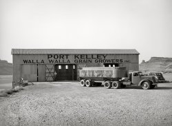 July 1941. "Port Kelley, where wheat belonging to members of the Walla Walla Grain Growers is stored and shipped by barge to Portland. Walla Walla County, Washington." Medium format acetate negative by Russell Lee for the Farm Security Administration. View full size.