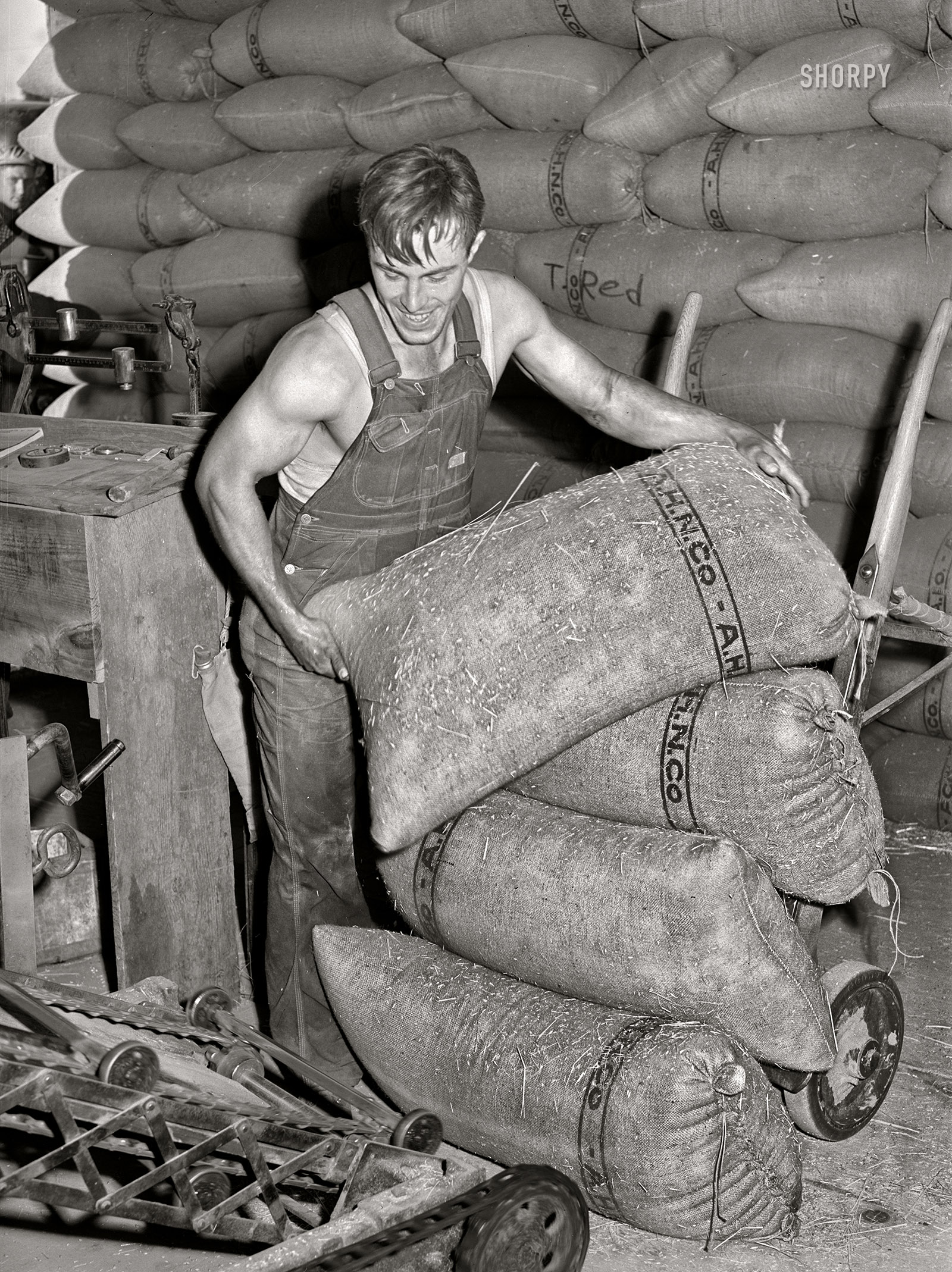 July 1941. "Sacked wheat being stored in warehouse. Touchet, Walla Walla County, Washington." Photo by Russell Lee for the Farm Security Administration. View full size.