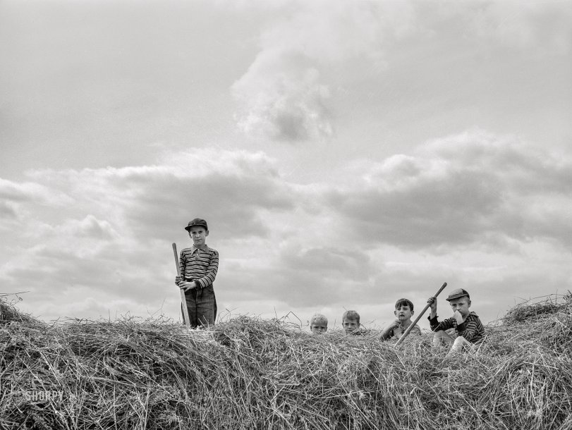 August 1941. "Dairy farmer's children on a haystack near Castleton, Vermont." Medium format acetate negative by Jack Delano for the Farm Security Administration. View full size.
