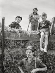 August 1941. "Isadore Lavictoire, French Canadian dairy farmer near Rutland, Vermont, and children gathering hay." Medium format acetate negative by Jack Delano. View full size.
