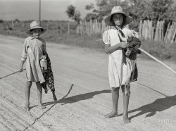 June 1940. "Melrose, Natchitoches Parish, Louisiana. Children of mulatto family returning home after an afternoon fishing in Cane River." Medium format negative by Marion Post Wolcott for the Farm Security Administration. View full size.