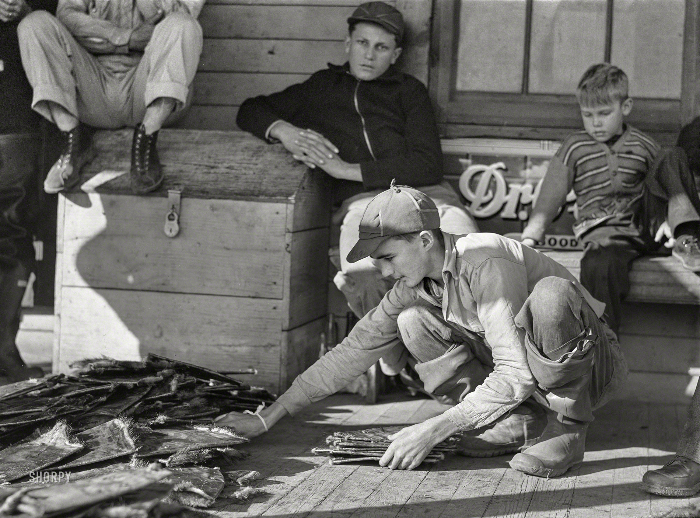 January 1941. "Grading muskrats while fur buyers and Spanish trappers look on during auction sale on porch of community store in Saint Bernard, Louisiana." Medium format negative by Marion Post Wolcott for the Farm Security Administration. View full size.