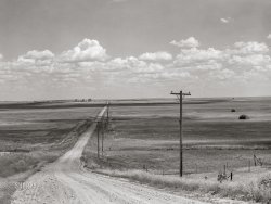 August 1941. "Road with Homestead, Montana, and grain elevators on the horizon." Medium format negative by Marion Post Wolcott for the Farm Security Administration. View full size.