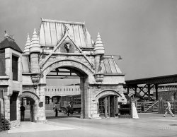 June 1941. "Entrance to Union Stockyards, Chicago." Medium format acetate negative by John Vachon for the Farm Security Administration. View full size.