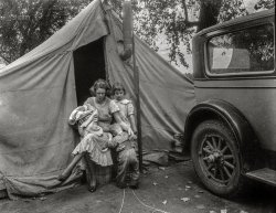 Squatter Mother: 1936
